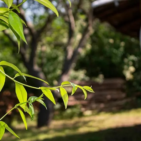 Clay House Vakantiehuis Banya (Burgas)